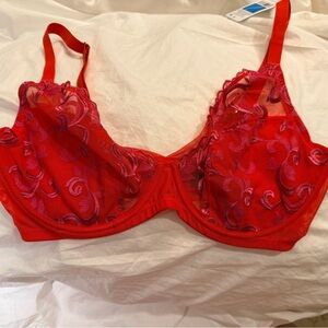 Natori Red Lace Underwire Bra NWT 34 DDD
